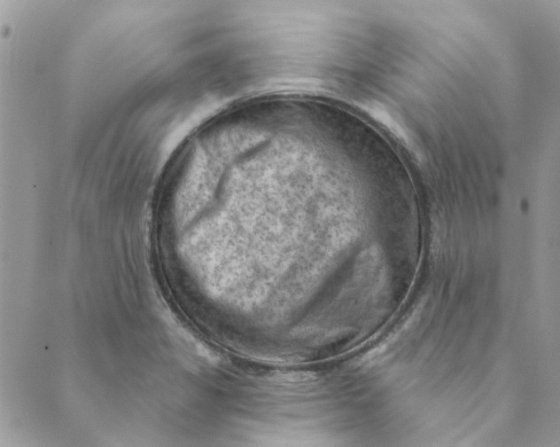 X0000089381325200707061129