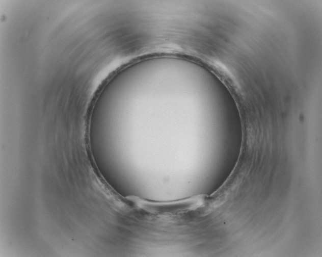 X0000089381326200707061129