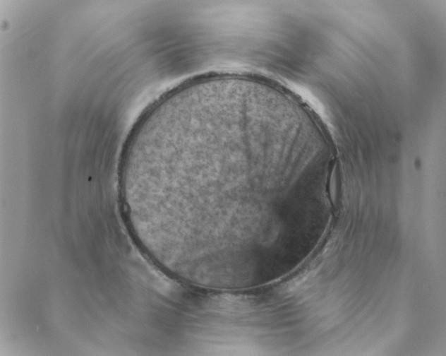 X0000089381327200707061129