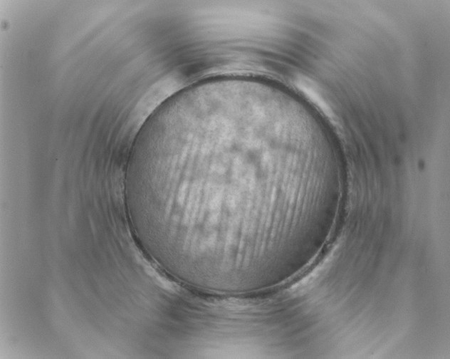 X0000089381329200707061129