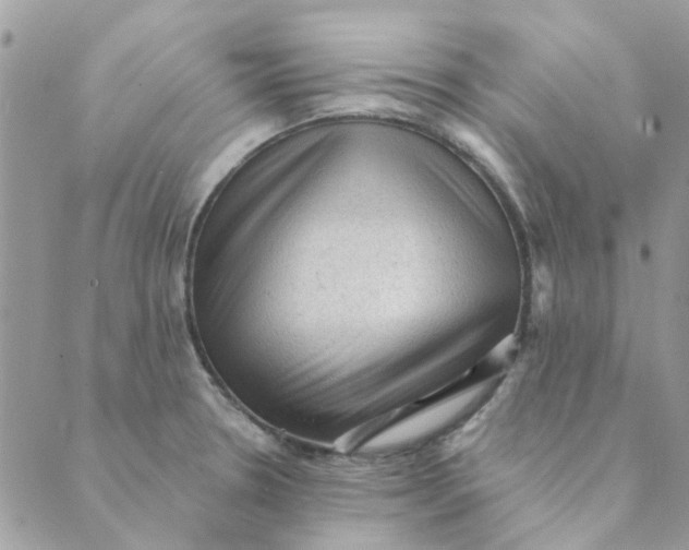 X0000089381330200707061129