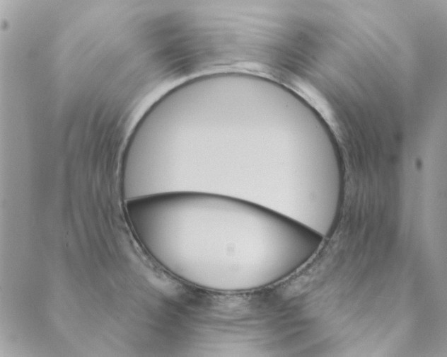 X0000089381332200707061129