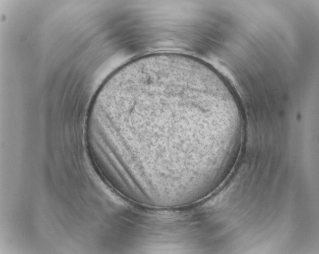 X0000089381333200707061129