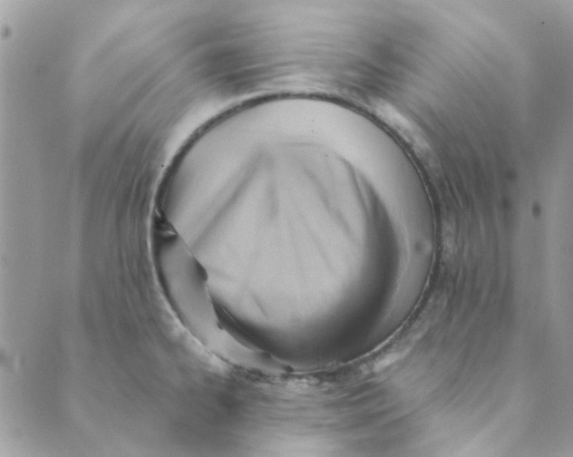 X0000089381334200707061129