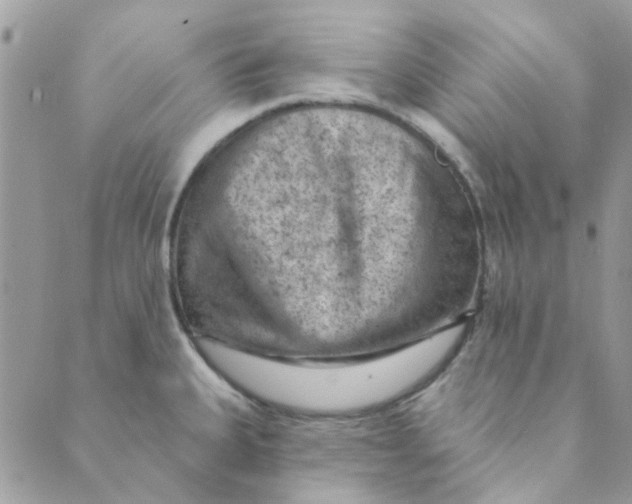 X0000089381335200707061129