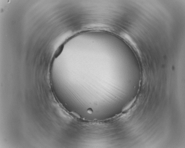 X0000089381336200707061129