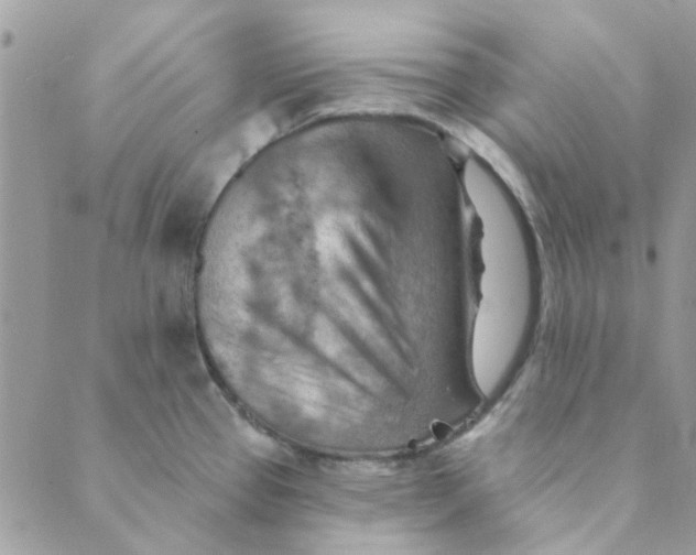 X0000089381337200707061129