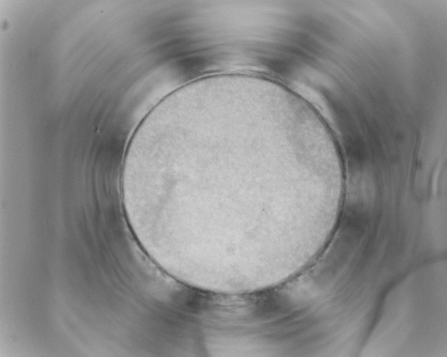 X0000089381338200707061129