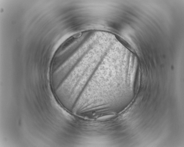 X0000089381339200707061129