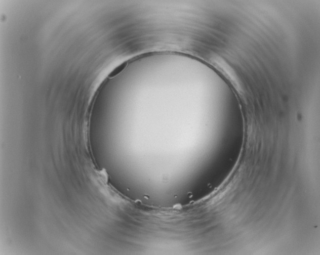 X0000089381340200707061129