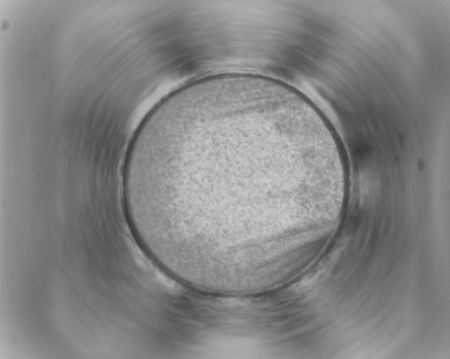 X0000089381341200707061129