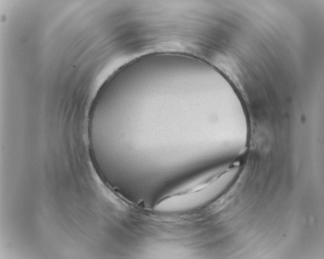 X0000089381342200707061129