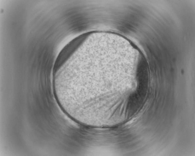 X0000089381343200707061129