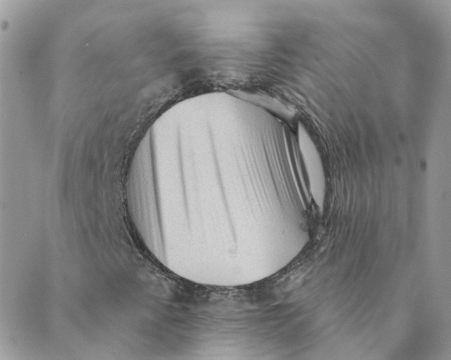 X0000089381345200707061129