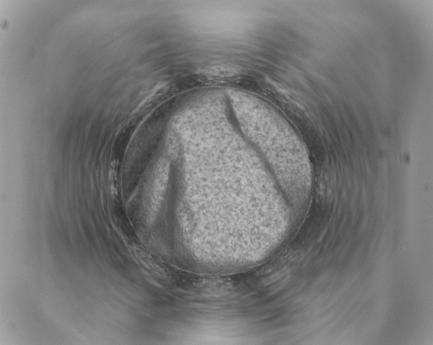 X0000089381346200707061129