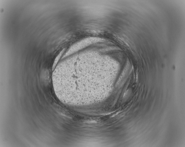 X0000089381347200707061129