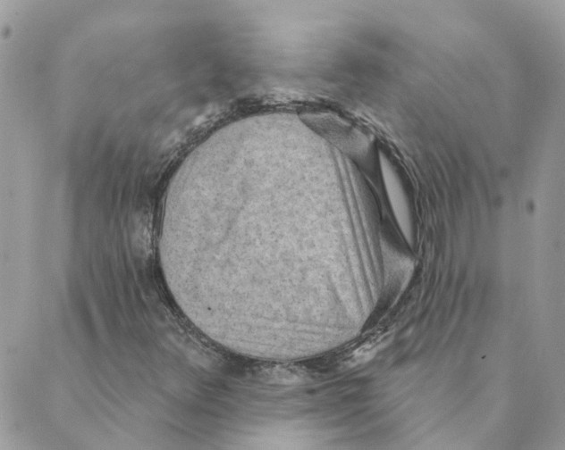 X0000089381348200707061129