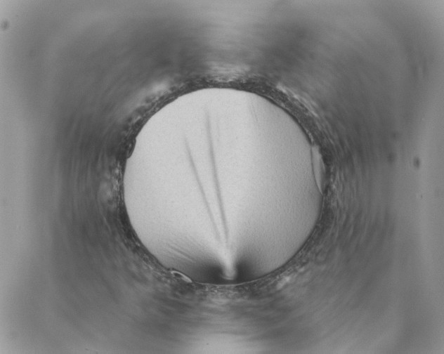 X0000089381349200707061129