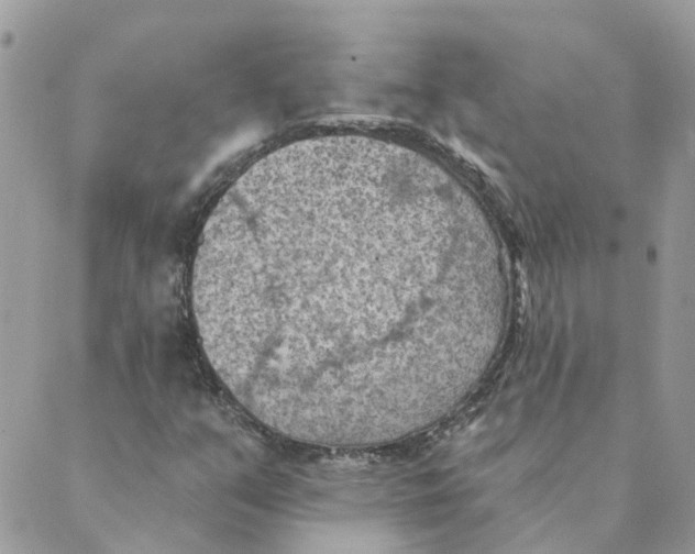 X0000089381351200707061129