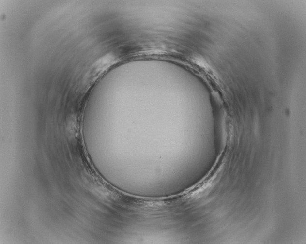 X0000089381353200707061129