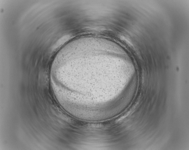 X0000089381354200707061129