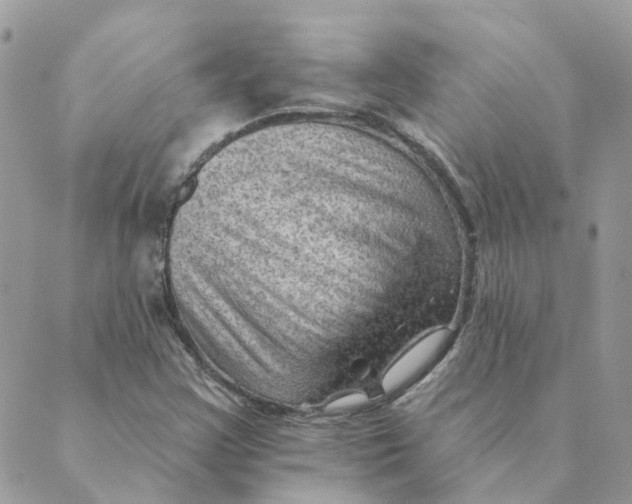 X0000089381355200707061129