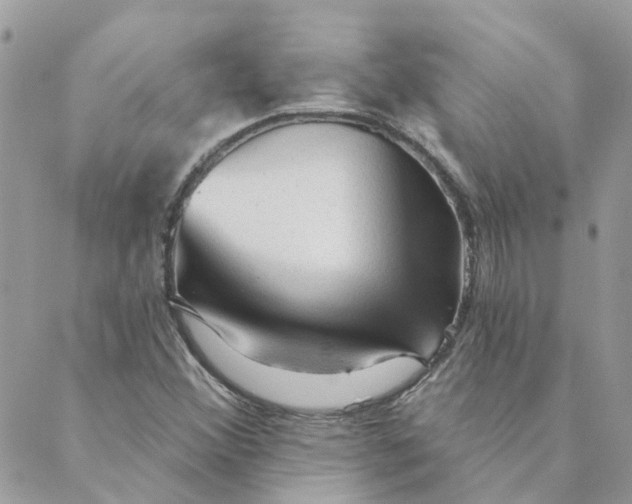 X0000089381356200707061129