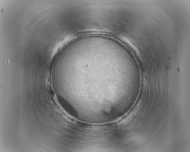 X0000089381357200707061129