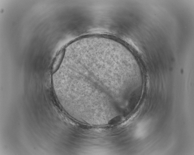 X0000089381358200707061128