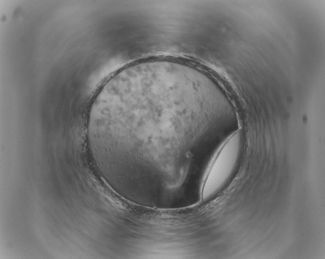 X0000089381359200707061128