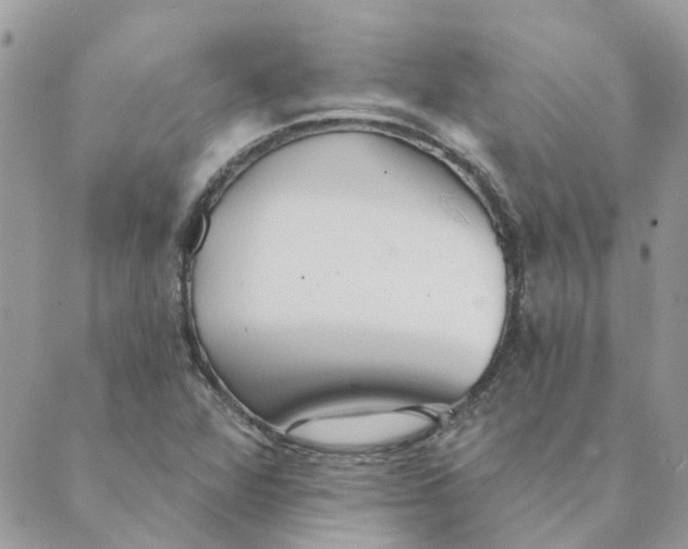 X0000089381360200707061128