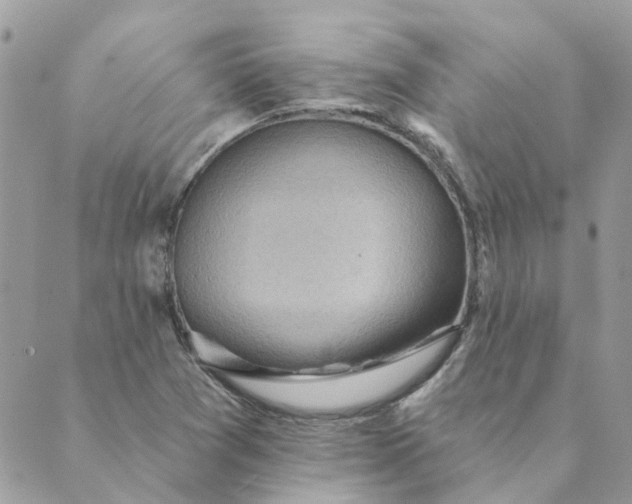 X0000089381361200707061128