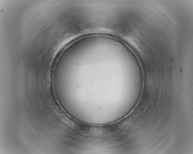 X0000089381364200707061128