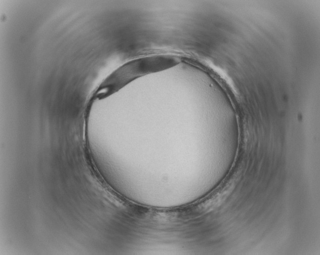 X0000089381365200707061128