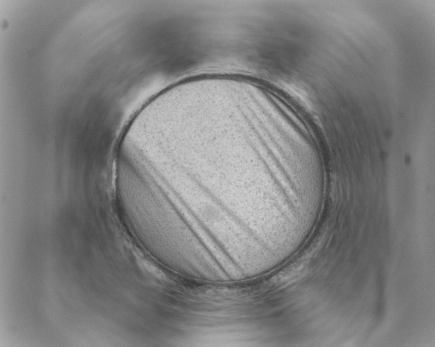 X0000089381366200707061128