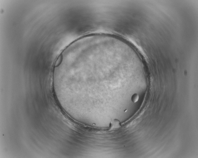 X0000089381367200707061128