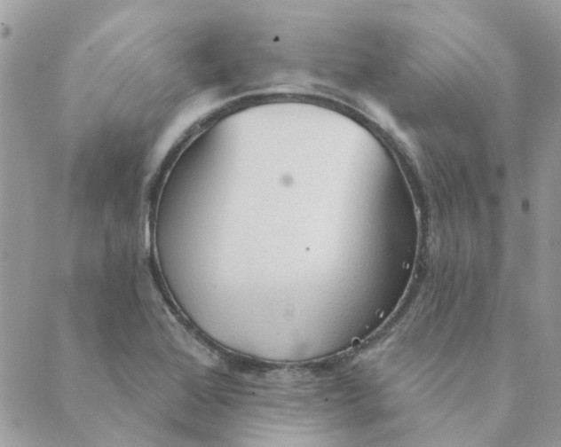 X0000089381368200707061128