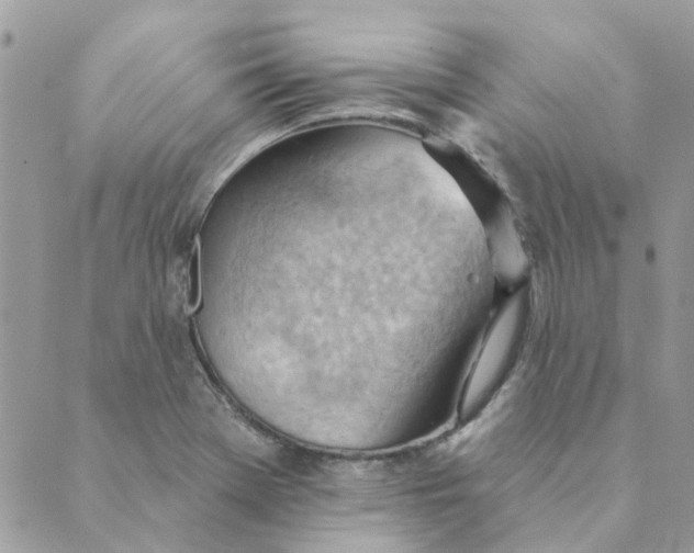 X0000089381369200707061128