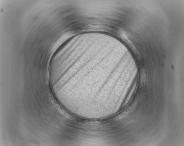 X0000089381370200707061128