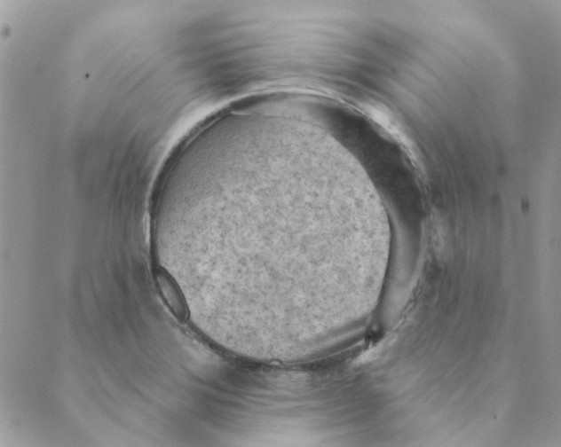 X0000089381372200707061128