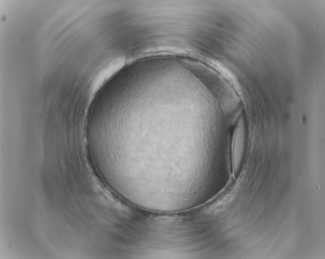 X0000089381373200707061128