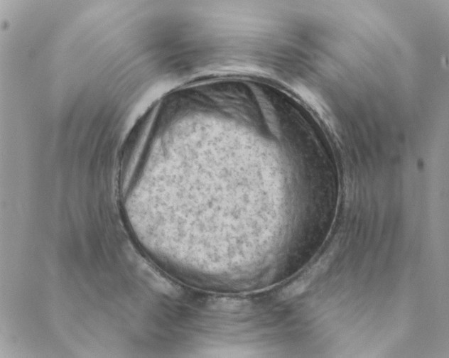 X0000089381374200707061128