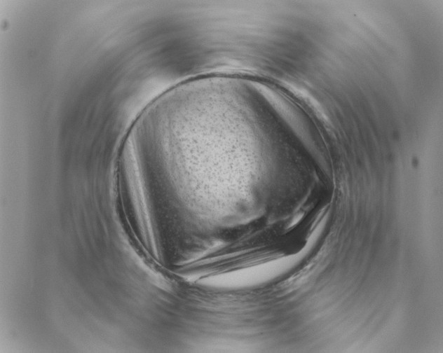 X0000089381375200707061128