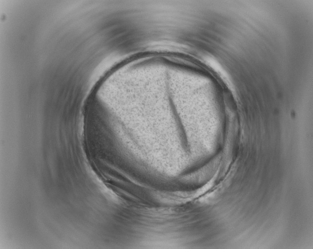 X0000089381376200707061128