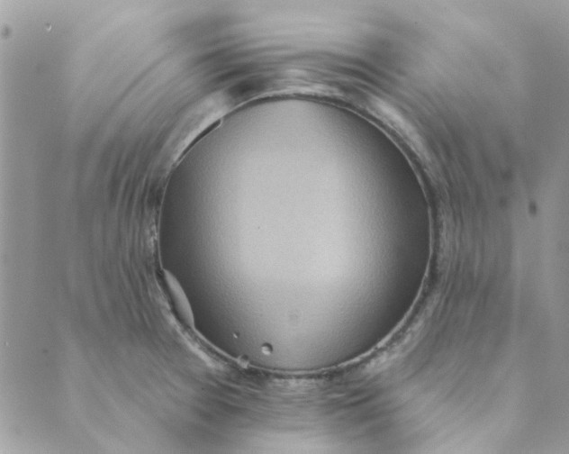 X0000089381377200707061128