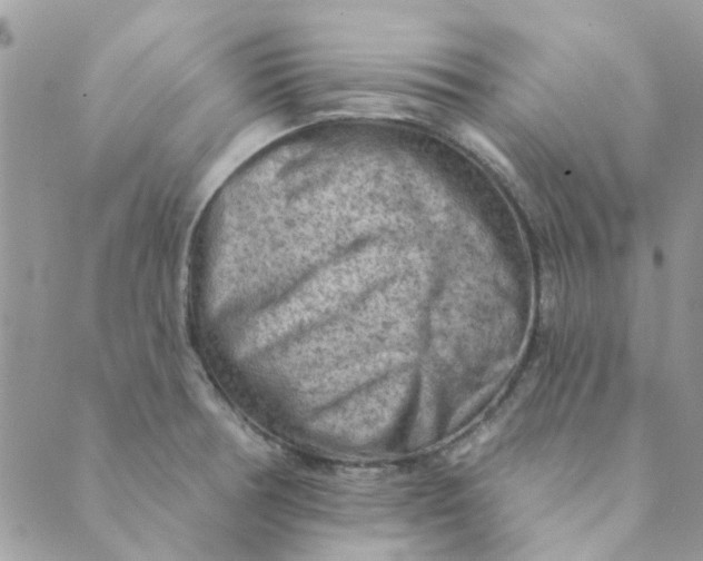 X0000089381378200707061128