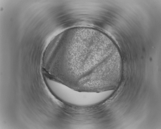 X0000089381379200707061128