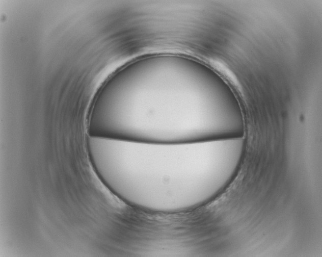 X0000089381380200707061128