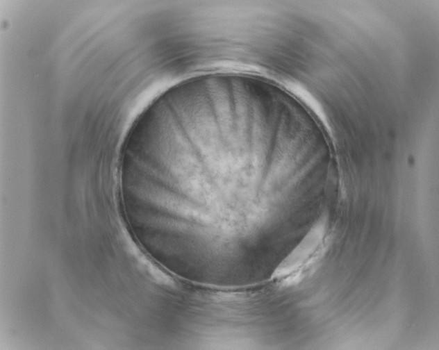 X0000089381381200707061128