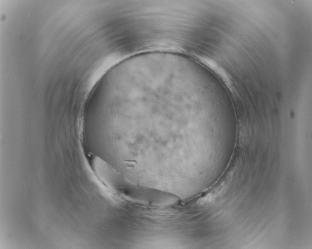 X0000089381383200707061128